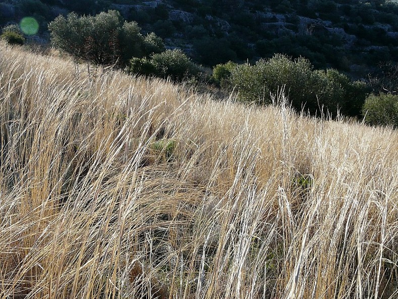 Paesaggio del Gargano